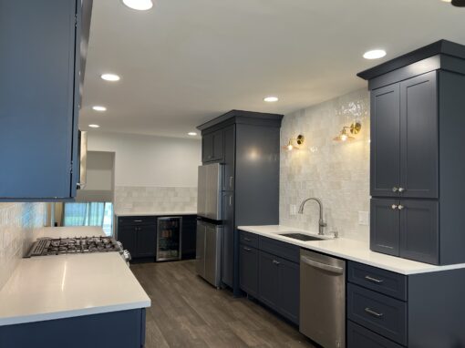 Skokie Kitchen Remodel – Weber Ln