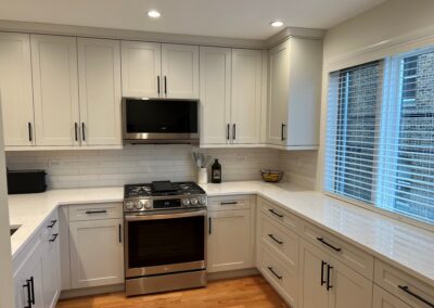 Lincoln Park Kitchen Remodel – N Halsted Ave