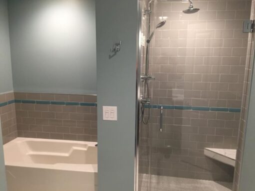 South Loop Bath Remodel – S State St